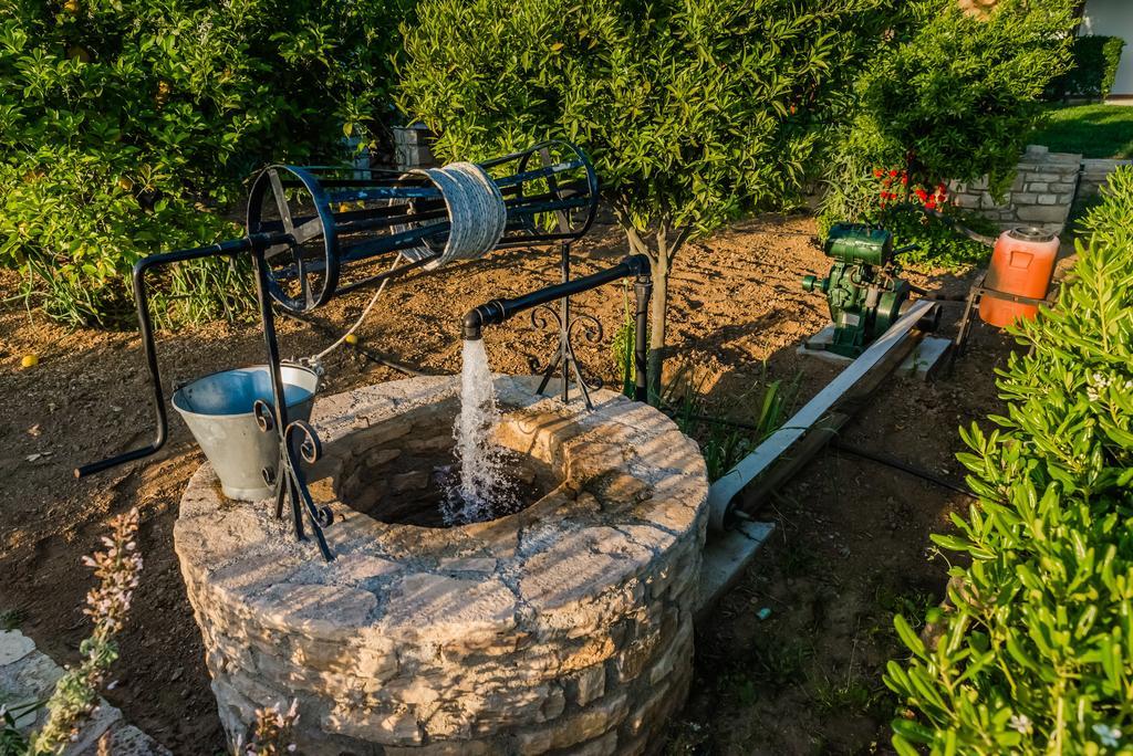 Aloni Home Petrokefálion エクステリア 写真